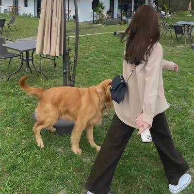 亲爱的大笨象